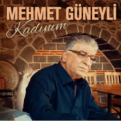 Mehmet Güneyli Siz Gidin