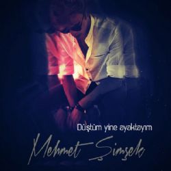 Mehmet Şimşek Düştüm Yine Ayaktayım