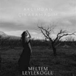 Meltem Leylekoğlu Aklımdan Çıkaramadım