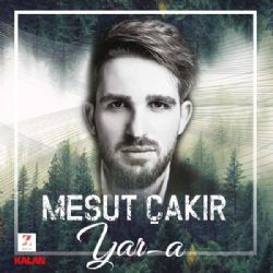 Mesut Çakır Yara