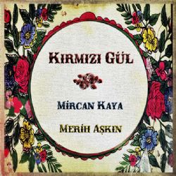 Mircan Kaya Kırmızı Gül