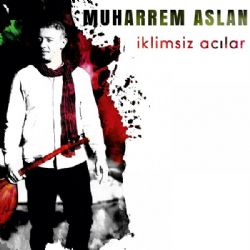 Muharrem Aslan İklimsiz Acılar