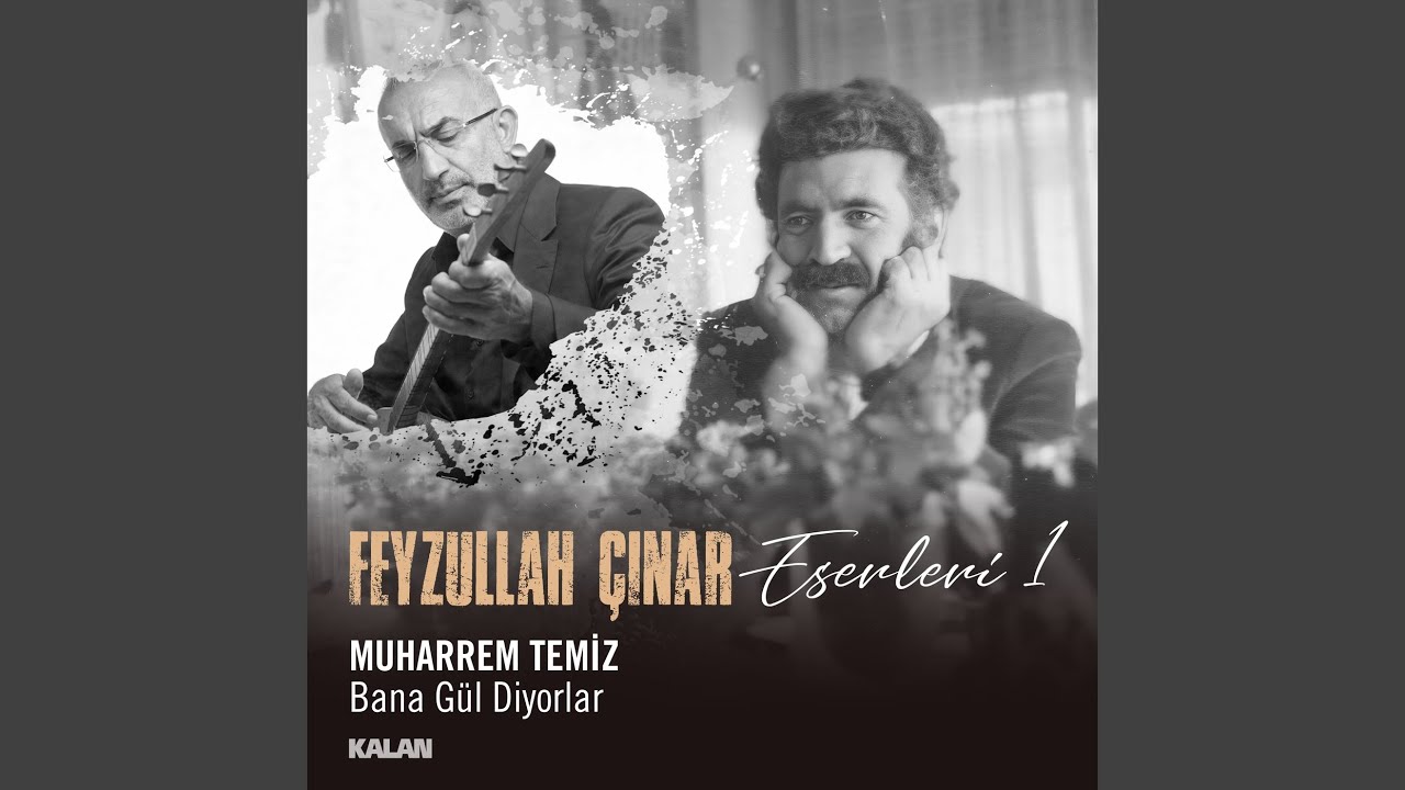 Muharrem Temiz Bana Gül Diyorlar Feyzullah Çınar Eserleri 1