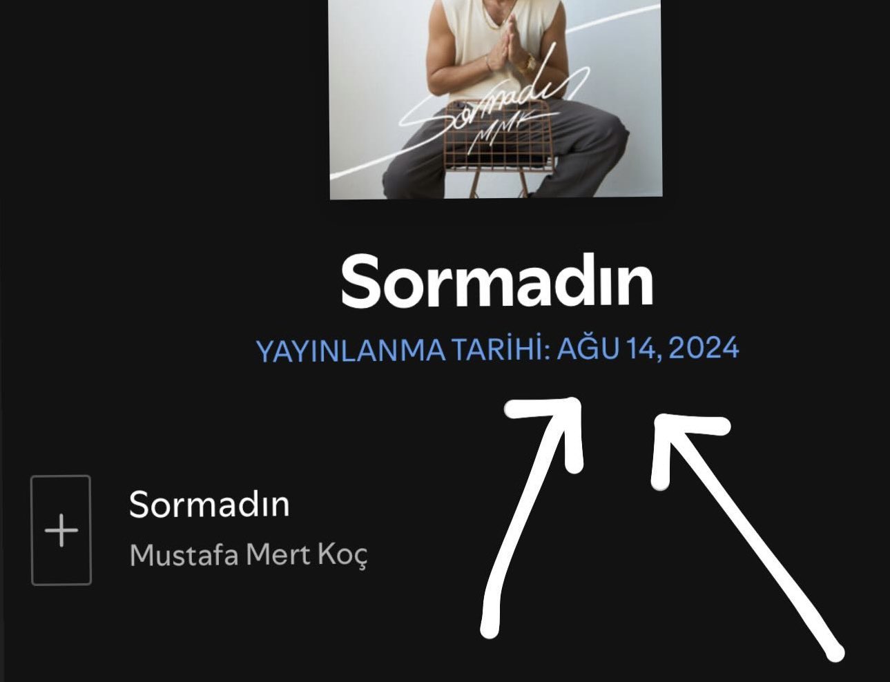 Mustafa Mert Koç Sormadın