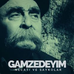 Necati Ve Saykolar Gamzedeyim