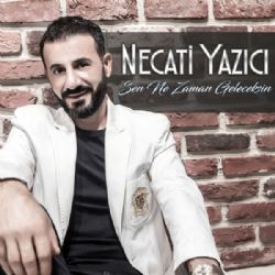 Necati Yazıcı Sen Ne Zaman Geleceksin