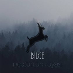 Neptünün Rüyası Bilge