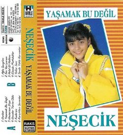 Neşecik Yaşamak Bu Değil