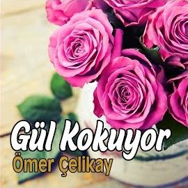 Ömer Çelikay Gül Kokuyor