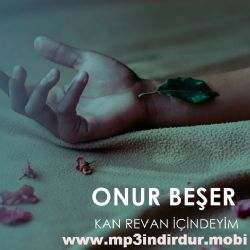 Onur Beşer Kan Revan İçindeyim