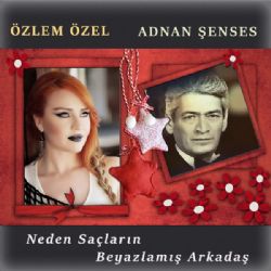 Özlem Özel Neden Saçların Beyazlamış Arkadaş