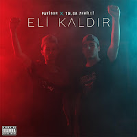 Payidar Eli Kaldır