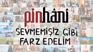 Pinhani Sevmemişiz Gibi Farz Edelim