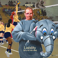 Prof Liabillity