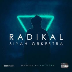 Radikal Siyah Orkestra