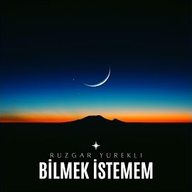 Rüzgar Yürekli Bilmek İstemem