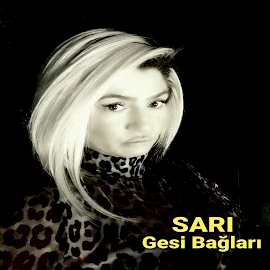 Sarı Gesi Bağları