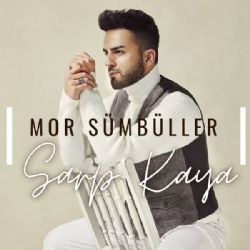 Sarp Kaya Mor Sümbüller