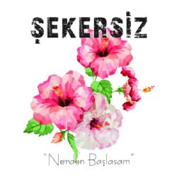 Şekersiz Nerden Başlasam