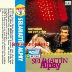 Selahattin Alpay Kuyudan Su Çekerler