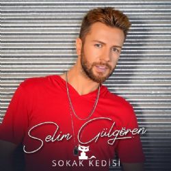 Selim Gülgören Sokak Kedisi