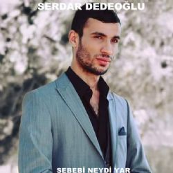 Serdar Dedeoğlu Sebebi Neydi Yar