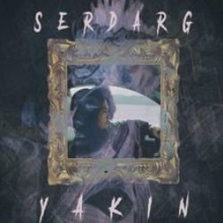 Serdar G Yakın