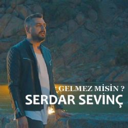 Serdar Sevinç Gelmez Misin