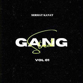 Serhat Kanat Gang Street