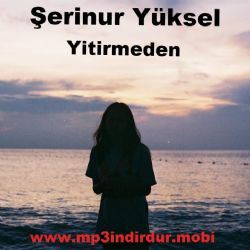 Şerinur Yüksel Yitirmeden