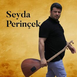 Seyda Perinçek Seyda Perinçek