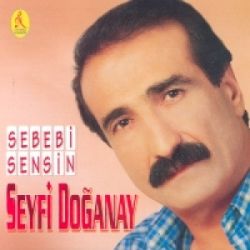 Seyfi Doğanay Sebebi Sensin