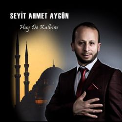 Seyit Ahmet Aygün Hay De Kalbim