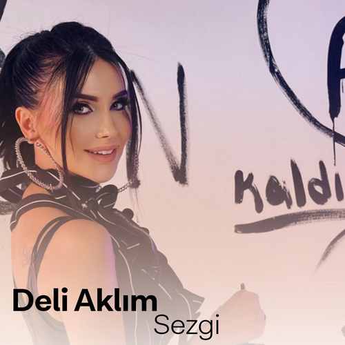 Sezgi Deli Aklım