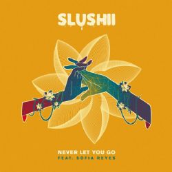 Slushii Never Let You Go