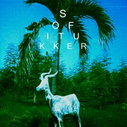 Sofi Tukker Drinkee