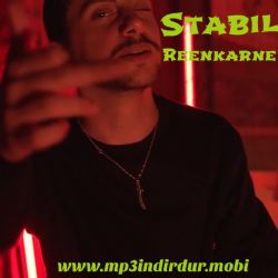 Stabil Reenkarne