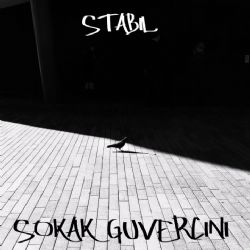 Stabil Sokak Güvercini