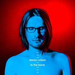 Steven Wilson To The Bone