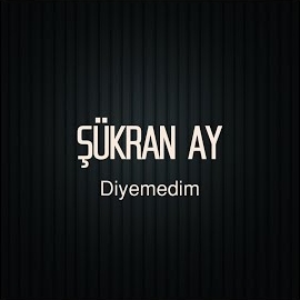 Şükran Ay Diyemedim