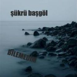 Şükrü Başgöl Bilemedim