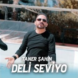 Taner Şahin Deli Seviyo