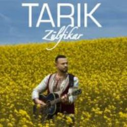 Tarık Zülfikar