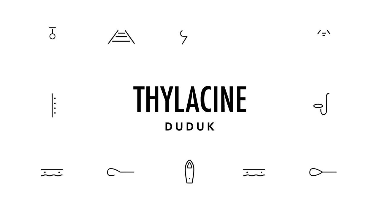 Thylacine Duduk