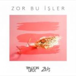 Timuçin Ufuk Zor Bu İşler