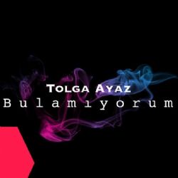 Tolga Ayaz Bulamıyorum