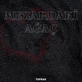 Toprak Mezardaki Ağaç