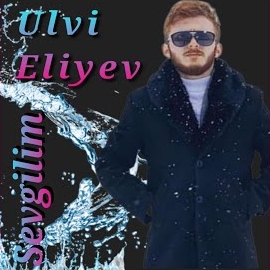 Ulvi Eliyev Sevgilim