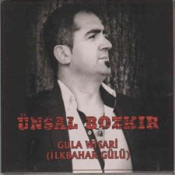 Ünsal Bozkır İlkbahar Gülü