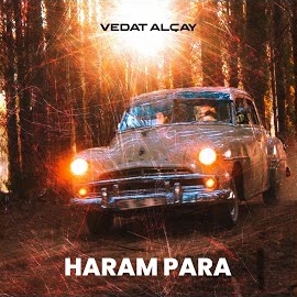 Vedat Alçay Haram Para